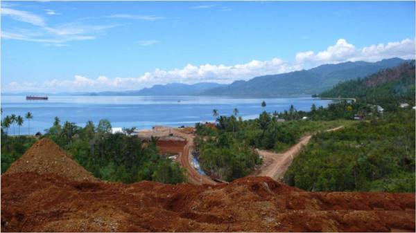 蘇拉威西蜂 蘇拉威西蜂