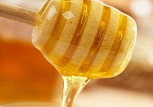 蜜蜂秋繁蜜粉源植物(秋天養蜂有哪些蜜源植物) 蜜蜂秋繁蜜粉源植物(秋天養蜂有哪些蜜源植物)