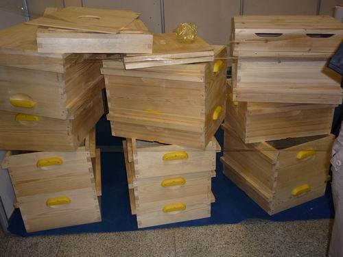 養(yǎng)中蜂在蜂場(chǎng)里喂水可以嗎（給蜂群喂水的五種方法及其利弊）