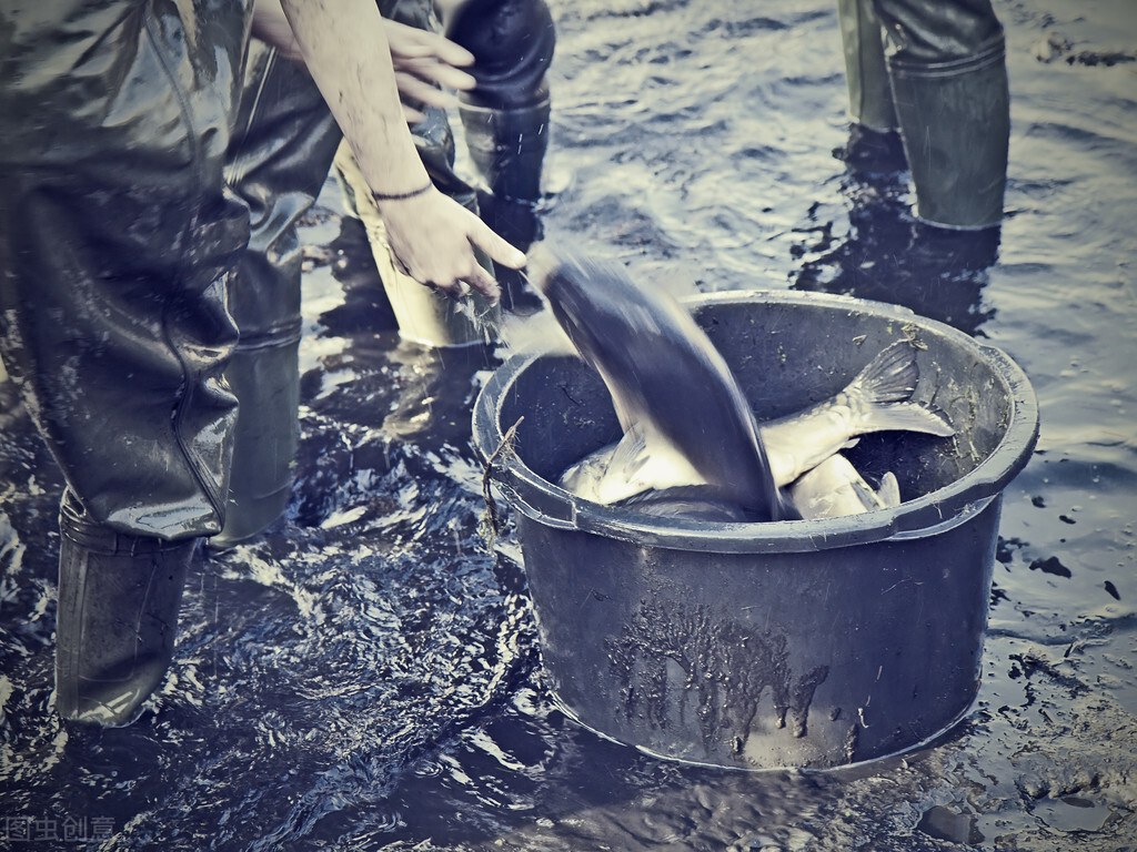 你釣魚的時候發生過什么離譜的事 釣魚人常遇到的5件“怪事”,我相信你也遇到過,我遇到好幾次