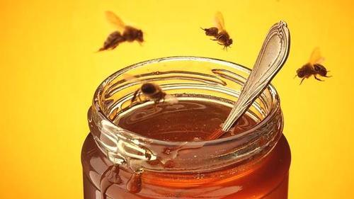 雪蜜是椴樹蜜么(椴樹蜜和雪蜜的區(qū)別)) 雪蜜是椴樹蜜么(椴樹蜜和雪蜜的區(qū)別))