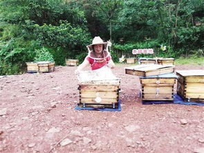 國(guó)家對(duì)養(yǎng)蜂場(chǎng)所建板房有新政策嗎(國(guó)家對(duì)養(yǎng)蜂地點(diǎn)的政策) 國(guó)家對(duì)養(yǎng)蜂場(chǎng)所建板房有新政策嗎(國(guó)家對(duì)養(yǎng)蜂地點(diǎn)的政策)