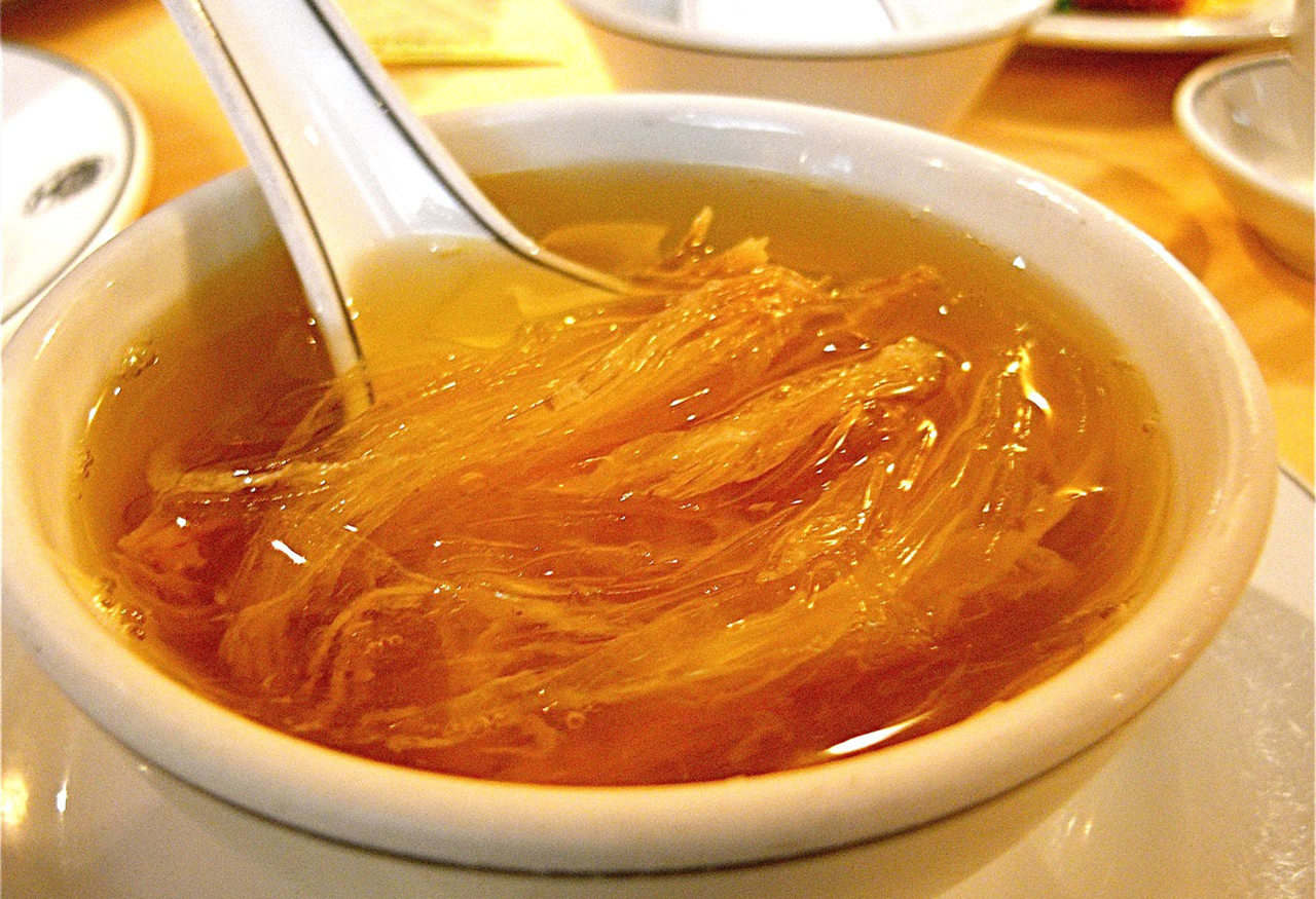 全球年銷售魚翅140萬(wàn)噸,殺死1億條鯊魚,為何不能人工飼養(yǎng) 全球每年銷售魚翅140萬(wàn)噸,殺死1億條鯊魚,為何不能人工飼養(yǎng)?