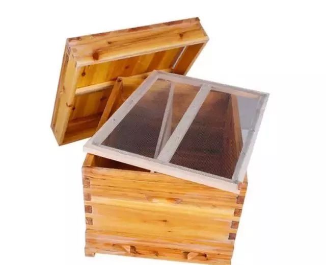 怎么看蜜蜂生病沒(蜜蜂疾病觀察診斷技術) 怎么看蜜蜂生病沒(蜜蜂疾病觀察診斷技術)