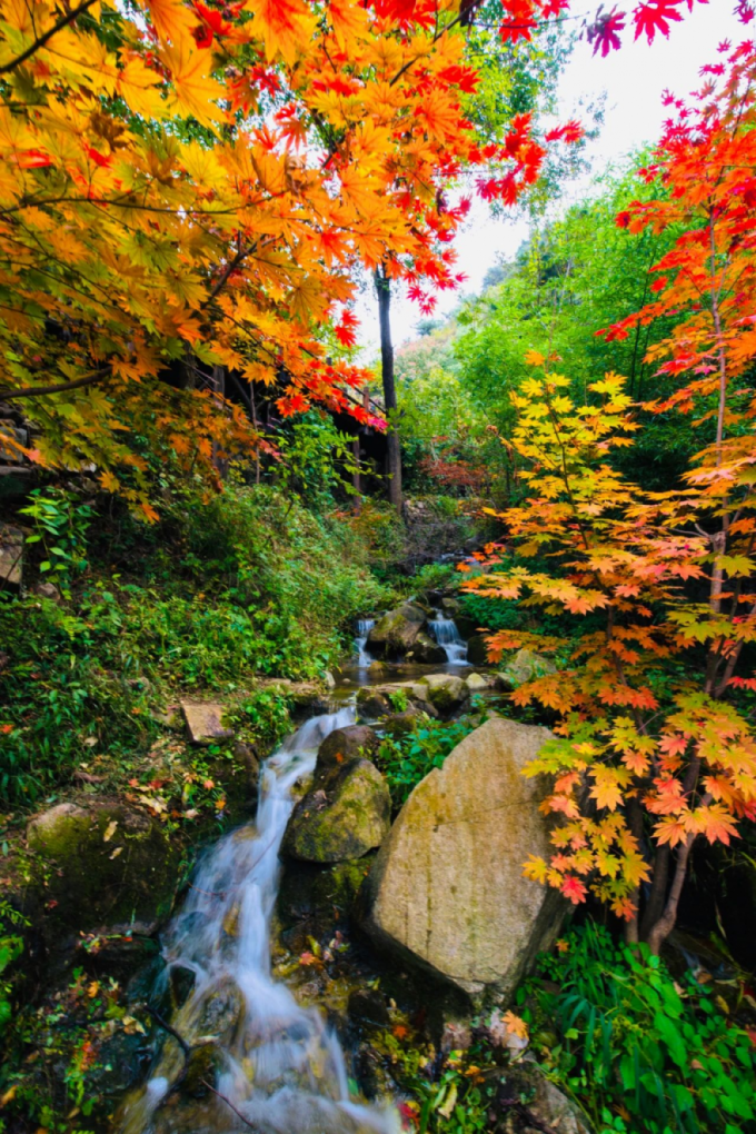 有篝火、有星空！山東私藏的這些自駕露營地景美人少，現在就出發！