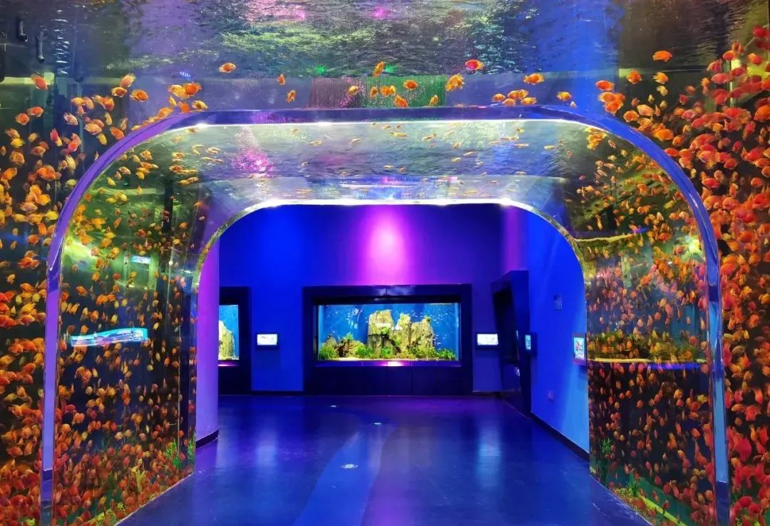 有篝火、有星空！山東私藏的這些自駕露營地景美人少，現在就出發！