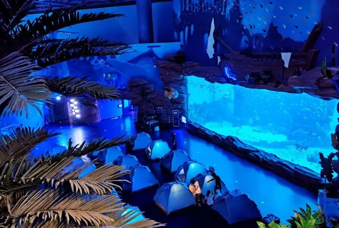 有篝火、有星空！山東私藏的這些自駕露營地景美人少，現在就出發！