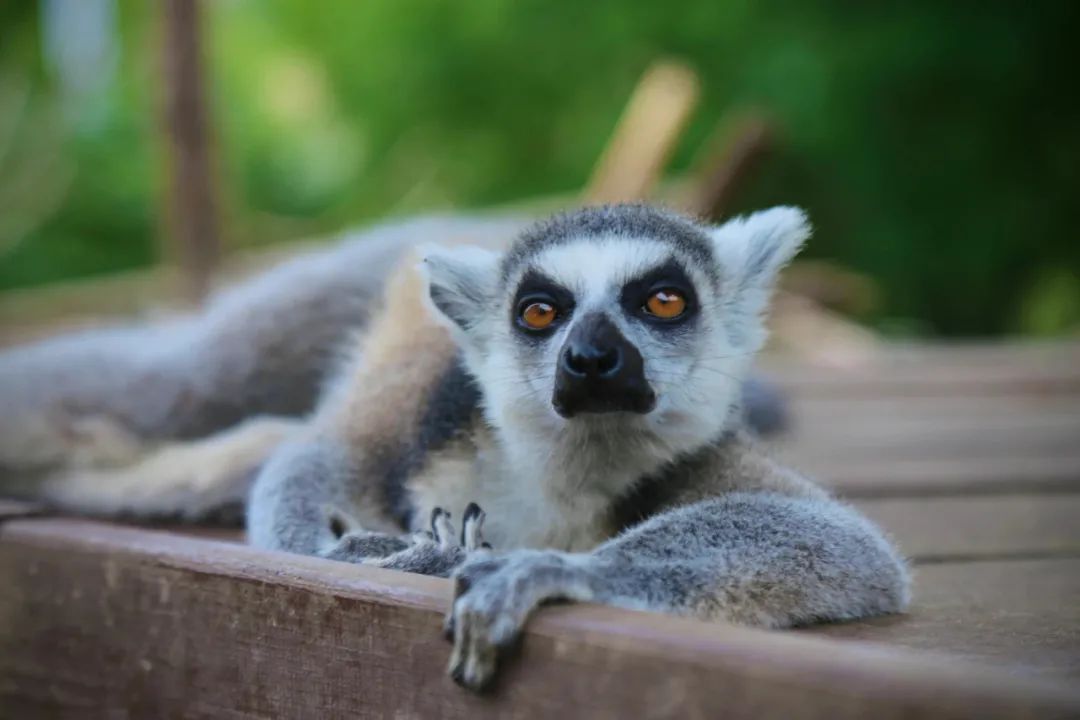 有篝火、有星空！山東私藏的這些自駕露營地景美人少，現在就出發！