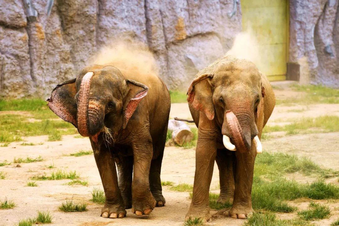 有篝火、有星空！山東私藏的這些自駕露營地景美人少，現在就出發！