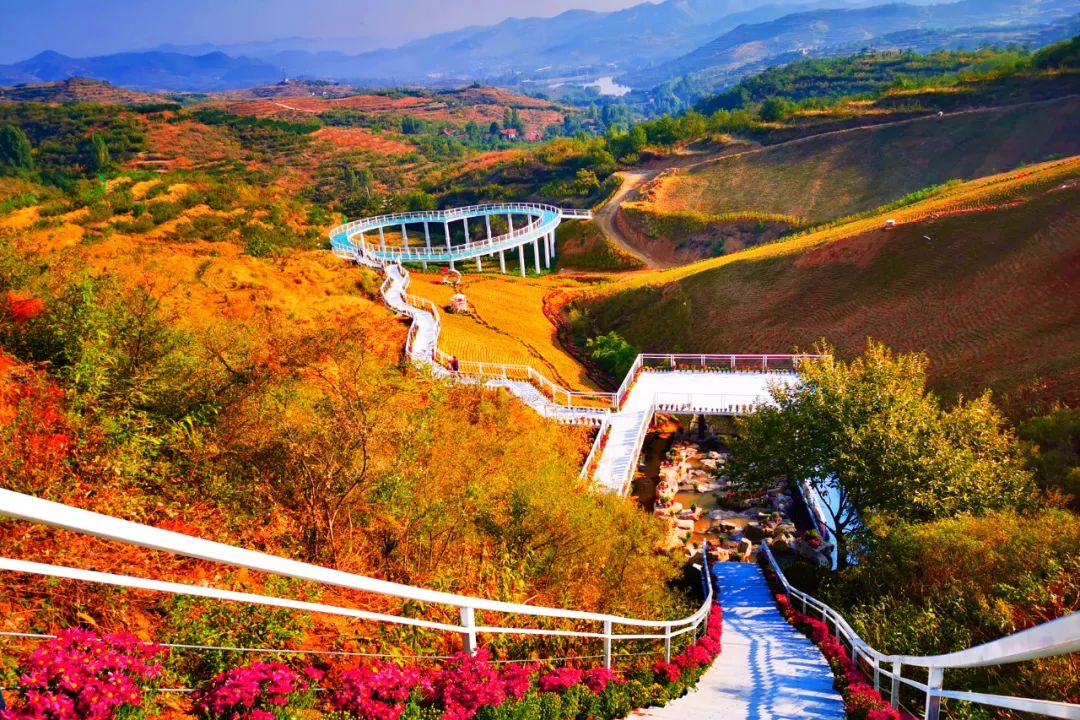 有篝火、有星空！山東私藏的這些自駕露營地景美人少，現在就出發！