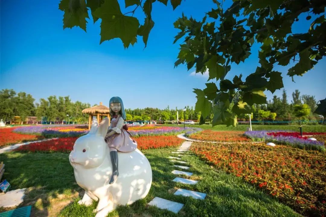 有篝火、有星空！山東私藏的這些自駕露營地景美人少，現在就出發！