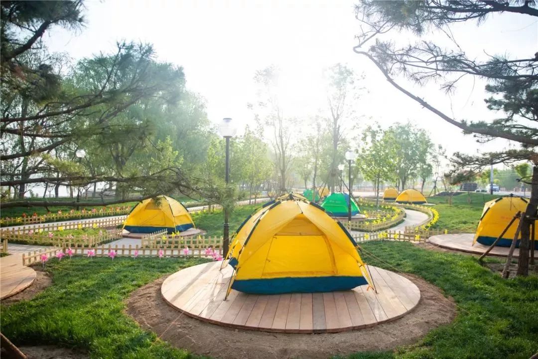 有篝火、有星空！山東私藏的這些自駕露營地景美人少，現在就出發！