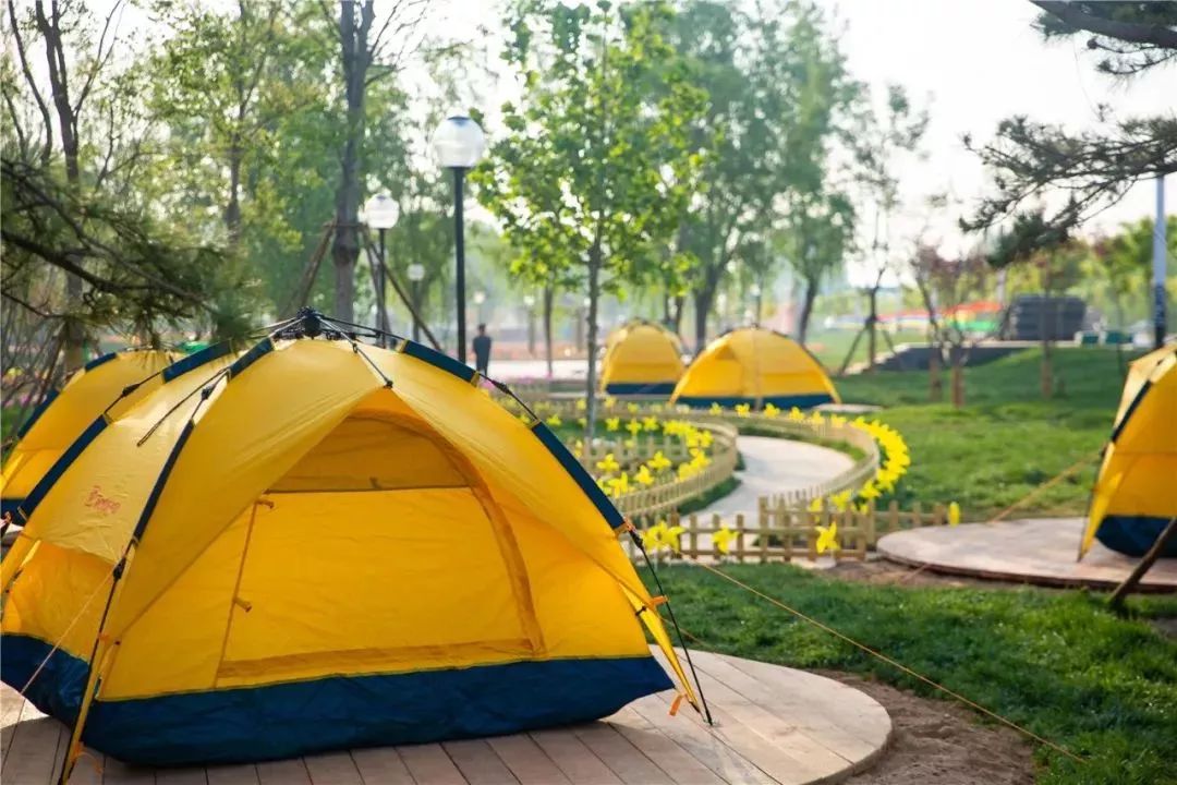 有篝火、有星空！山東私藏的這些自駕露營地景美人少，現在就出發！