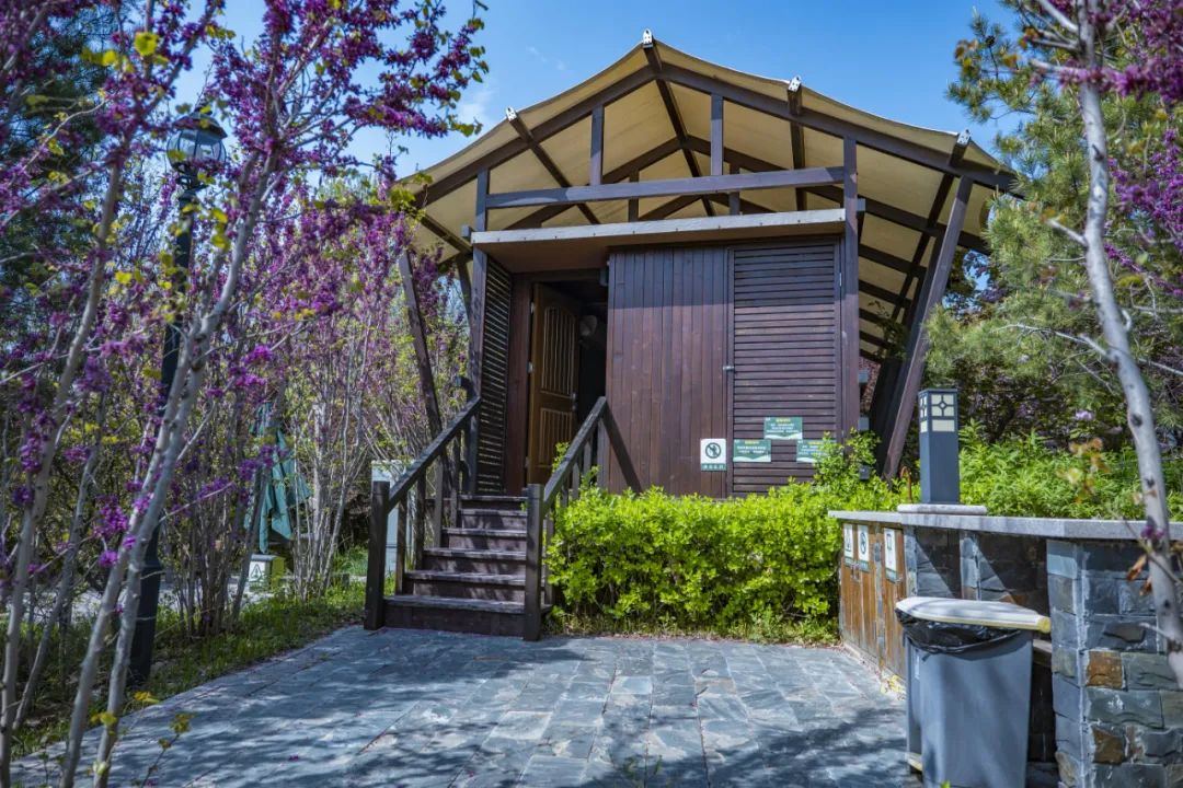 有篝火、有星空！山東私藏的這些自駕露營地景美人少，現在就出發！