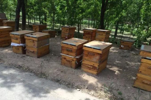 新手養(yǎng)蜂買什么樣的蜂箱(養(yǎng)蜂用什么蜂箱好) 新手養(yǎng)蜂買什么樣的蜂箱(養(yǎng)蜂用什么蜂箱好)