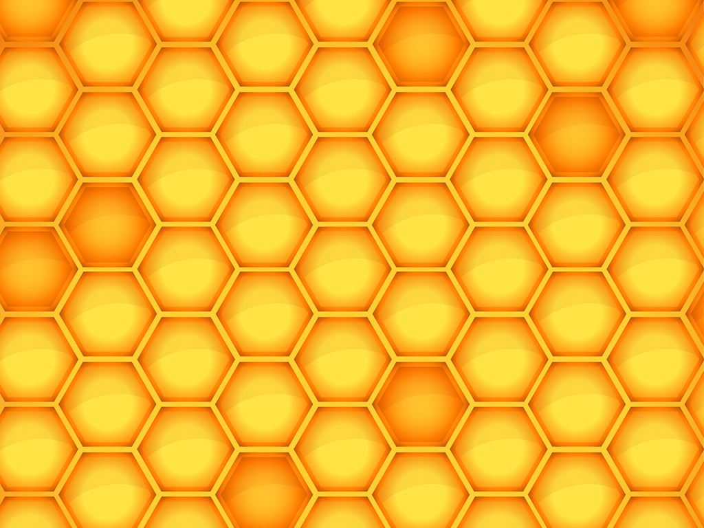 蜜蜂是怎么筑巢的？