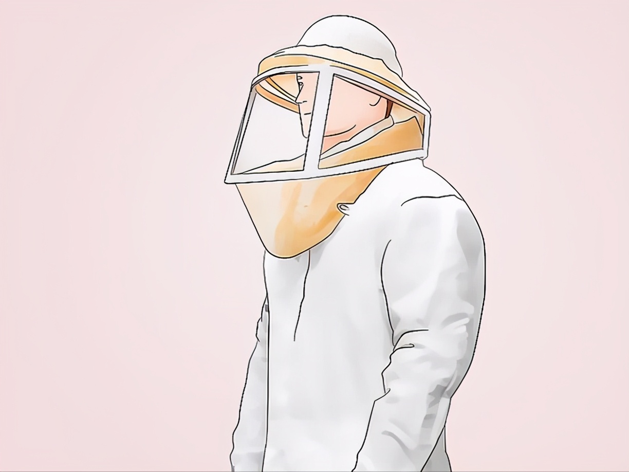 蜂王漿蜜蜂是怎么儲存起來的(蜂王漿的收獲和儲存過程) 蜂王漿蜜蜂是怎么儲存起來的(蜂王漿的收獲和儲存過程)