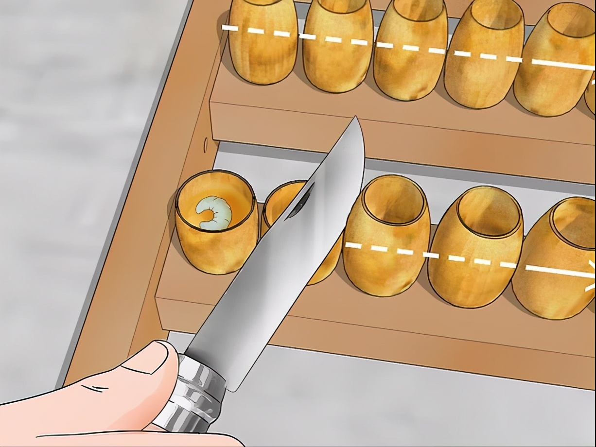 蜂王漿蜜蜂是怎么儲存起來的(蜂王漿的收獲和儲存過程) 蜂王漿蜜蜂是怎么儲存起來的(蜂王漿的收獲和儲存過程)