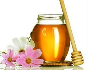 怎么刮成熟的蜂蜜(割取蜂蜜的過程) 怎么刮成熟的蜂蜜(割取蜂蜜的過程)