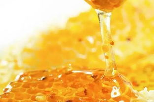 怎么利用購買的蜂王進(jìn)行分蜂繁殖（怎么分蜂繁殖）