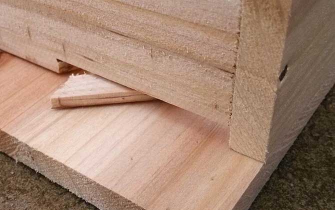 標準中蜂箱多少錢一個(中蜂箱種類及參考價格) 標準中蜂箱多少錢一個(中蜂箱種類及參考價格)