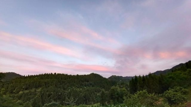 江西野蜂什么時(shí)候取蜜 江西野蜂什么時(shí)候取蜜