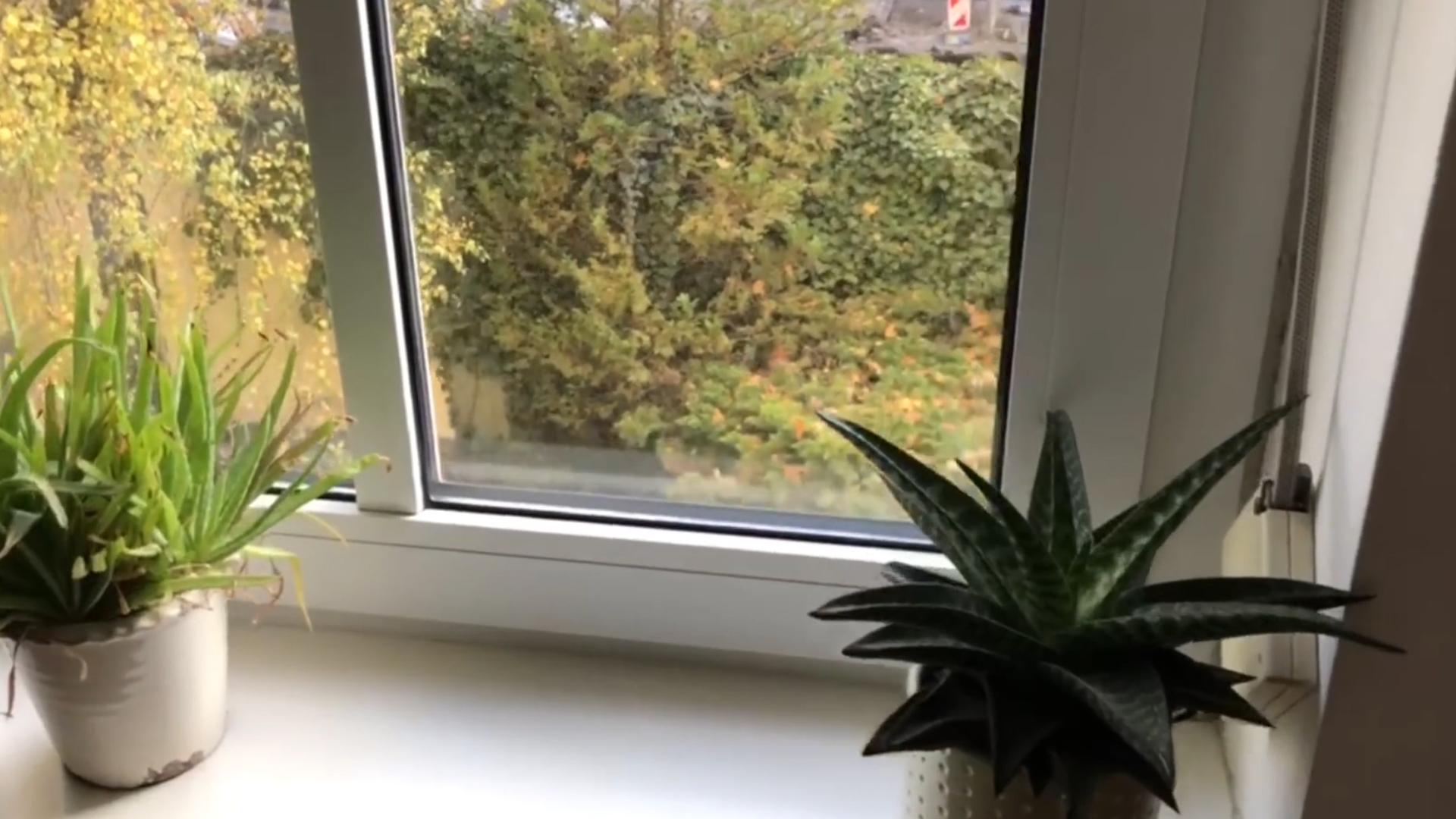 飛機窗戶上的這個小洞，你知道是做什么的嗎？