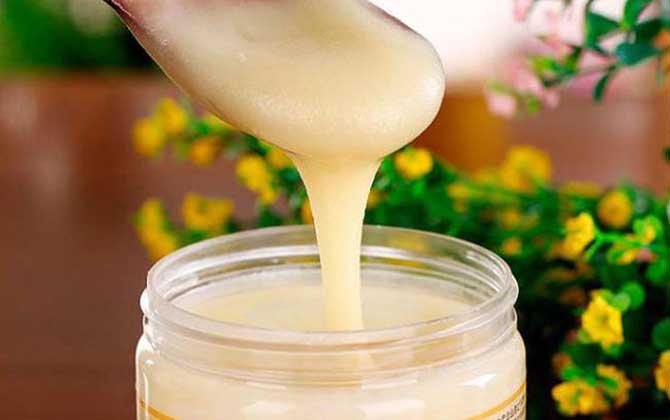 黑蜂蜂蜜的作用與功效及食用方法 黑蜂蜂蜜的作用與功效及食用方法