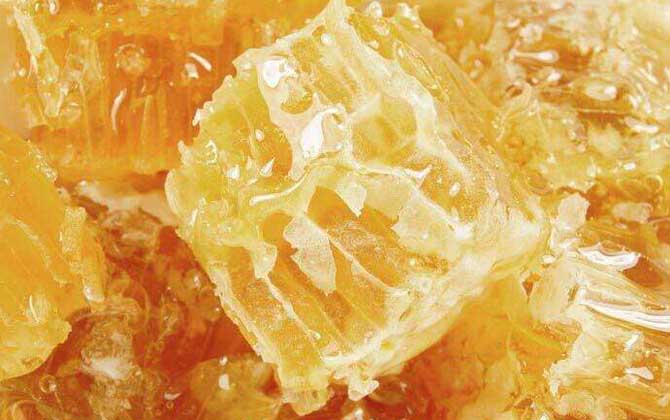 黑蜂蜂蜜的作用與功效及食用方法 黑蜂蜂蜜的作用與功效及食用方法