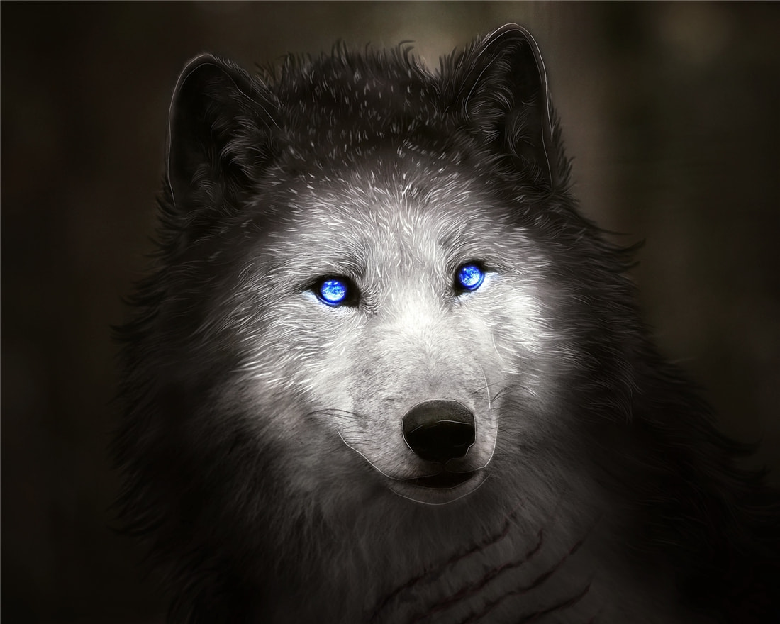 長(zhǎng)白山多次出現(xiàn)“狽”，最早記載于西漢，奔跑時(shí)前腿搭在狼身上