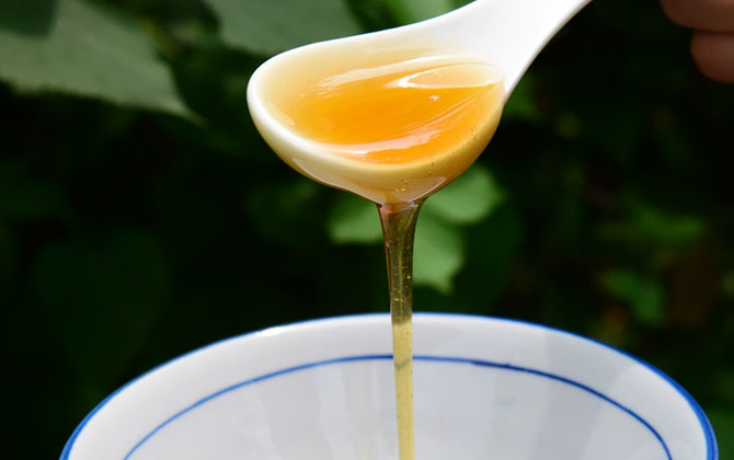 什么是龍眼蜜(龍眼蜜的特點) 什么是龍眼蜜(龍眼蜜的特點)