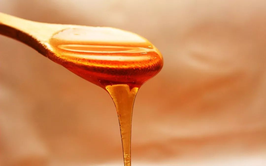 蜜蜂分蜂一般會(huì)往哪飛(蜜蜂分蜂后第一次結(jié)團(tuán)時(shí)間大約是多久) 蜜蜂分蜂一般會(huì)往哪飛(蜜蜂分蜂后第一次結(jié)團(tuán)時(shí)間大約是多久)