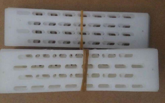 防逃片為什么關不住蜂王? 防逃片為什么關不住蜂王?