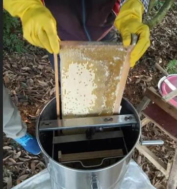 搖蜜和割蜜有什么區別(什么是搖蜜) 搖蜜和割蜜有什么區別(什么是搖蜜)