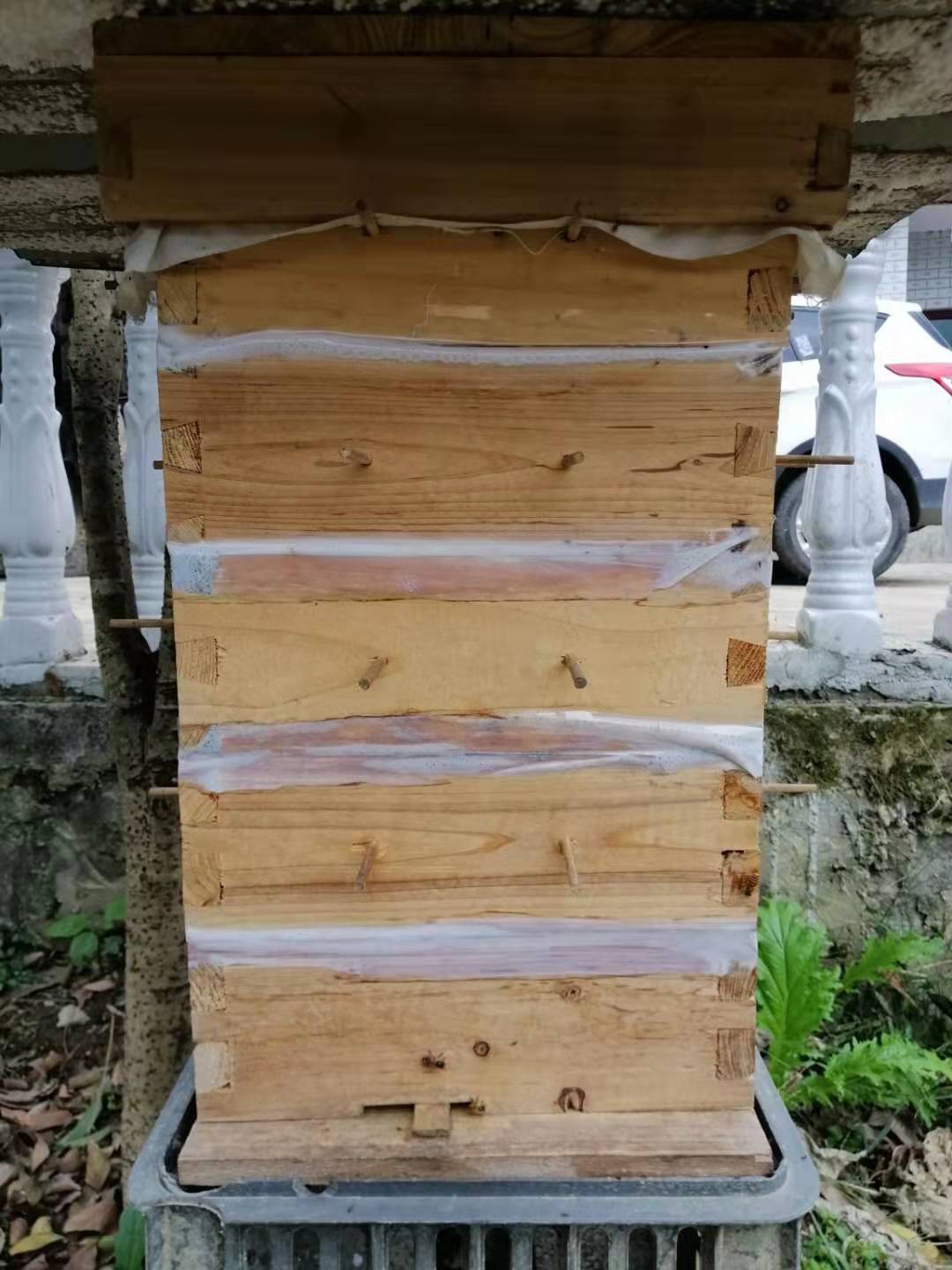 中蜂如何近距離擺放 中蜂如何近距離擺放