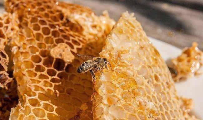 一塊巢脾能產多少蜂蜜? 一塊巢脾能產多少蜂蜜?