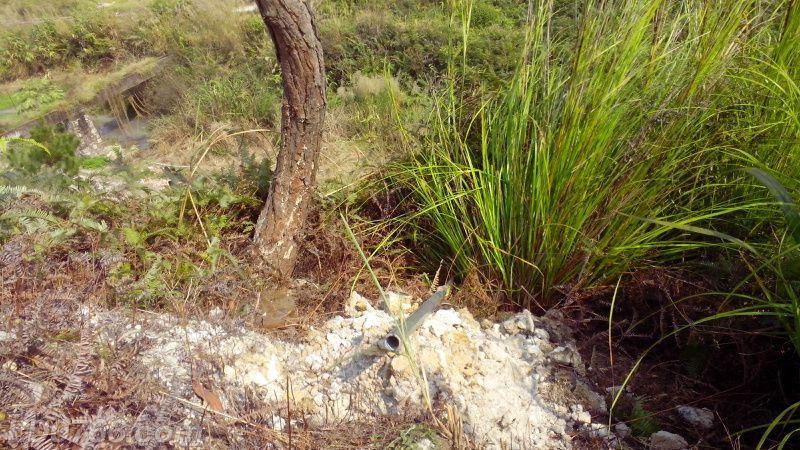 養(yǎng)多少蜜蜂可以辦合作社(養(yǎng)多少窩蜜蜂可以拿到國家補(bǔ)助) 養(yǎng)多少蜜蜂可以辦合作社(養(yǎng)多少窩蜜蜂可以拿到國家補(bǔ)助)