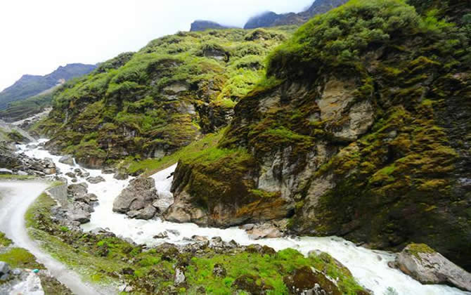 喜馬拉雅蜜蜂 喜馬拉雅蜜蜂