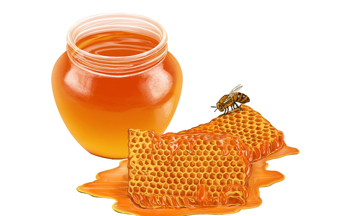 養蜜蜂怎么防止螞蟻（蜂箱怎么防螞蟻最有效的方法）