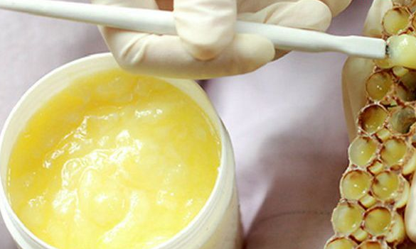 蜂王漿過期了怎么辦(蜂王漿會不會過期變質) 蜂王漿過期了怎么辦(蜂王漿會不會過期變質)