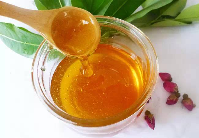 馬蜂窩怎么取蜂巢(摘蜂窩最佳方法) 馬蜂窩怎么取蜂巢(摘蜂窩最佳方法)