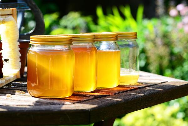 蜜蜂王是夜間還是白天產卵(蜂王會有上班下班時間嗎) 蜜蜂王是夜間還是白天產卵(蜂王會有上班下班時間嗎)