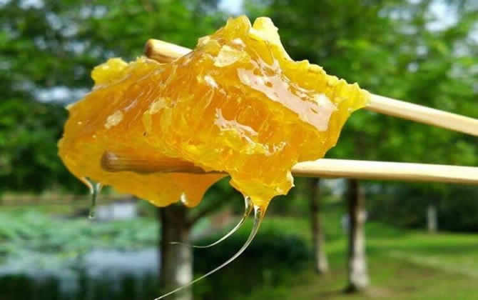 枇杷蜂蜜 枇杷蜂蜜