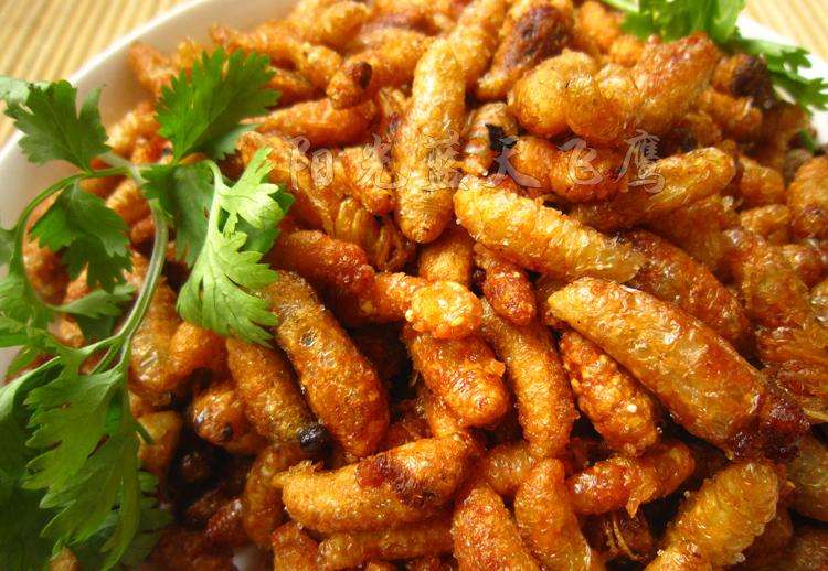 【蜜蜂知識】如何區別蜜蜂蛹和胡蜂蛹? 如何區別蜜蜂蛹和胡蜂蛹?