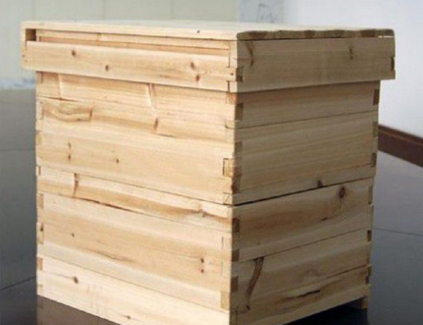 蜜蜂巢脾壞了怎么辦(蜜蜂巢脾的修造方法) 蜜蜂巢脾壞了怎么辦(蜜蜂巢脾的修造方法)