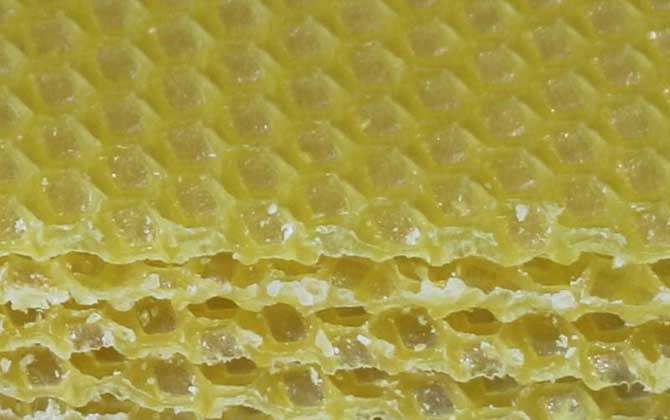 中蜂巢礎多少錢一張(巢礎的參考價格及使用方法) 中蜂巢礎多少錢一張(巢礎的參考價格及使用方法)