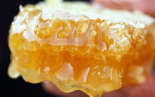 蜜橙屬于柑橘嗎(蜜香橙介紹) 蜜橙屬于柑橘嗎(蜜香橙介紹)