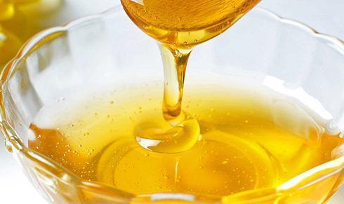 馬蜂用什么東西筑巢(馬蜂拿什么來做窩) 馬蜂用什么東西筑巢(馬蜂拿什么來做窩)