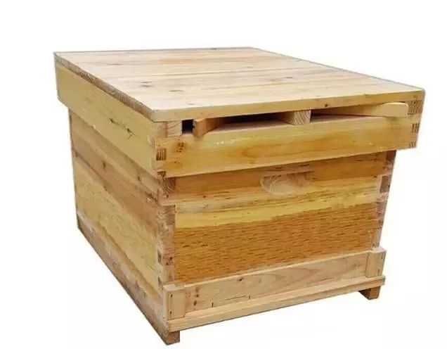 養(yǎng)蜂幾月份開始養(yǎng)(養(yǎng)蜂什么時候最適宜) 養(yǎng)蜂幾月份開始養(yǎng)(養(yǎng)蜂什么時候最適宜)