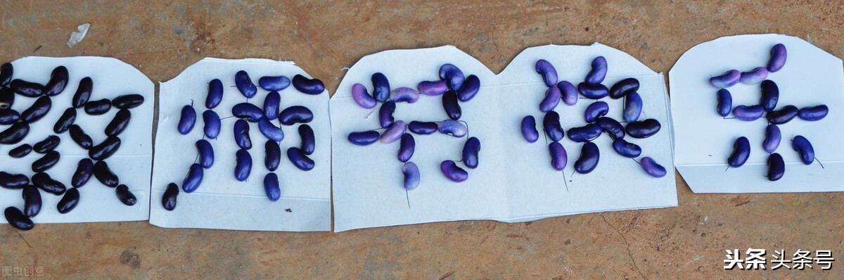 最想說給老師的話 今天是教師節(jié),你最想對老師說什么?